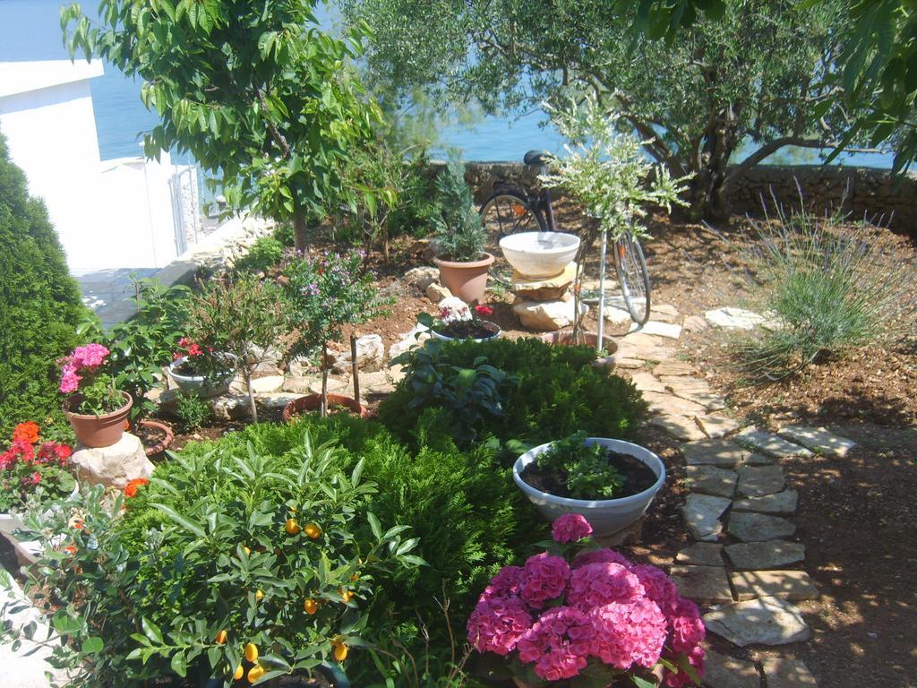 טרוגיר Apartments Iva Alla חדר תמונה
